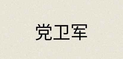 汉语词典：党卫军