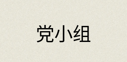 汉语词典：党小组