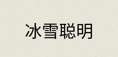 汉语词典：冰雪聪明