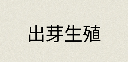 汉语词典：出芽生殖