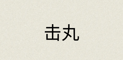 汉语词典：击丸