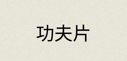 汉语词典：功夫片
