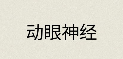 汉语词典：动眼神经