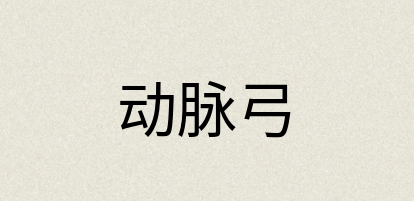 汉语词典：动脉弓