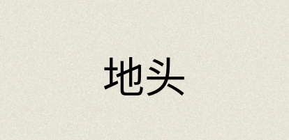 汉语词典：地头