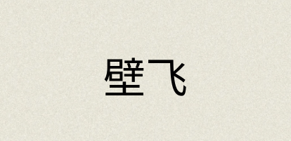 汉语词典：壁飞