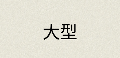 汉语词典：大型