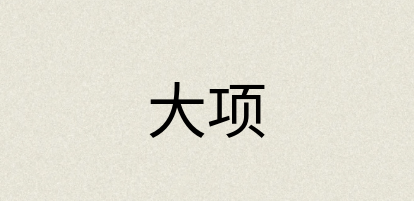 汉语词典：大项