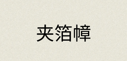 汉语词典：夹箔幛