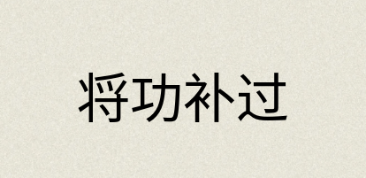 汉语词典：将功补过