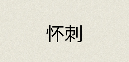汉语词典：怀刺