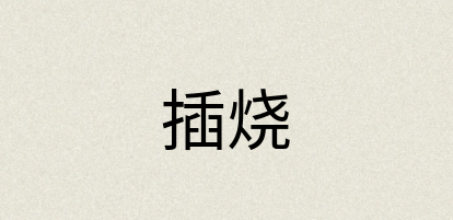 汉语词典：插烧