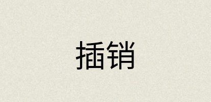 汉语词典：插销