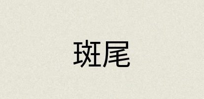 汉语词典：斑尾
