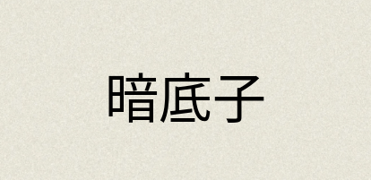 汉语词典：暗底子
