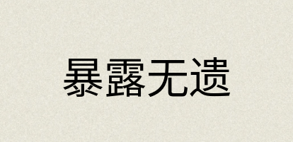 汉语词典：暴露无遗
