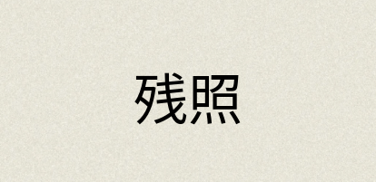 汉语词典：残照