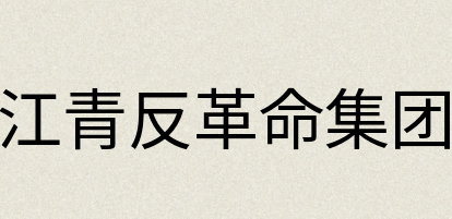 汉语词典：江青反革命集团