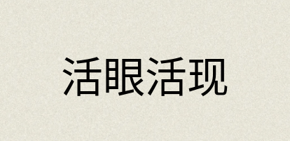 汉语词典：活眼活现