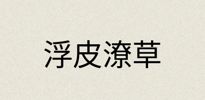 汉语词典：浮皮潦草