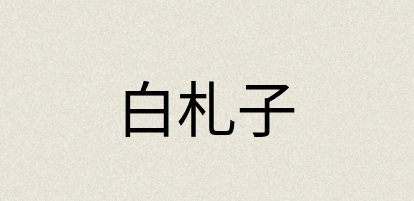 汉语词典：白札子