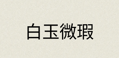 汉语词典：白玉微瑕