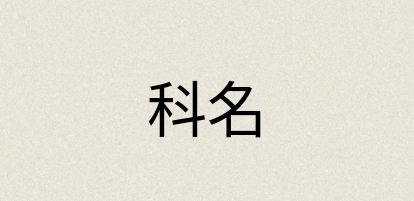 汉语词典：科名