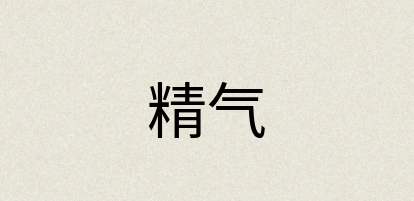 汉语词典：精气