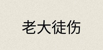 汉语词典：老大徒伤