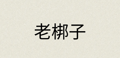 汉语词典：老梆子