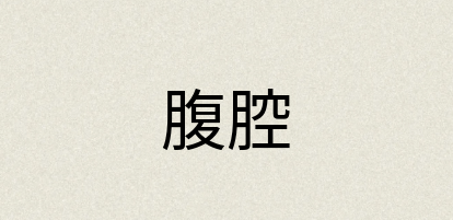 汉语词典：腹腔