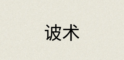 汉语词典：诐术