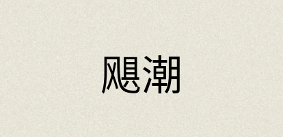 汉语词典：飓潮