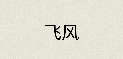 汉语词典：飞风