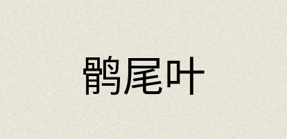 汉语词典：鹘尾叶