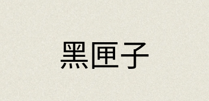 汉语词典：黑匣子