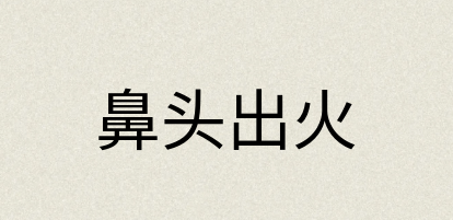 汉语词典：鼻头出火