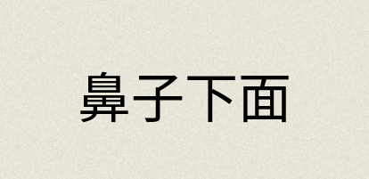 汉语词典：鼻子下面