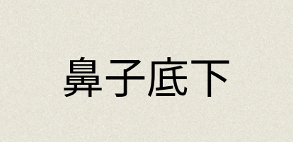 汉语词典：鼻子底下