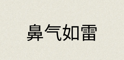 汉语词典：鼻气如雷