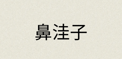 汉语词典：鼻洼子