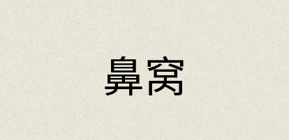 汉语词典：鼻窝